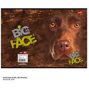 St Majewski Chocolate Lab Big Face ®