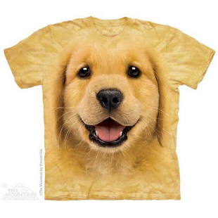 The Mountain Golden Retriever Puppy Big Face ®